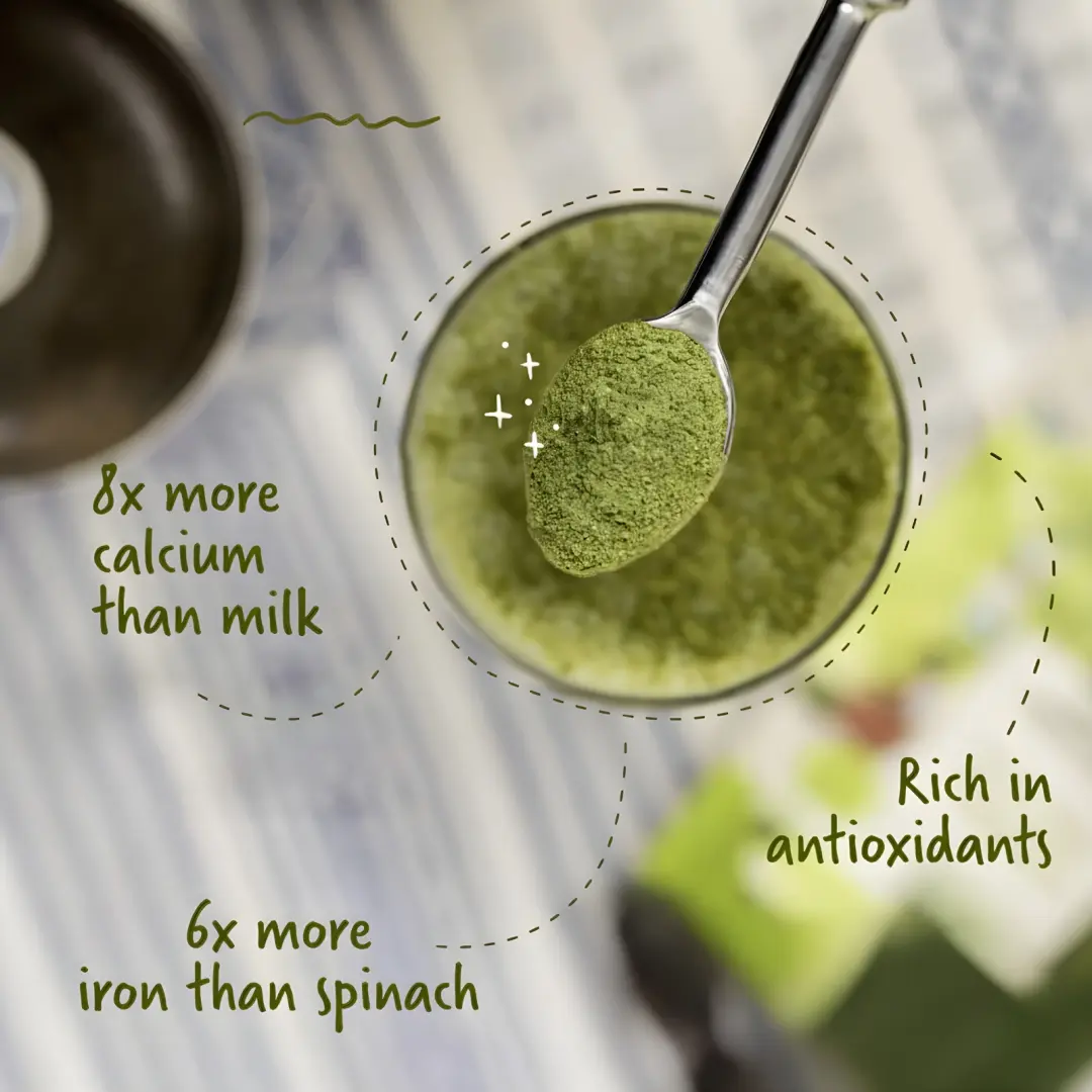 Nutbloom's 100% Natural Moringa Powder - Image 4